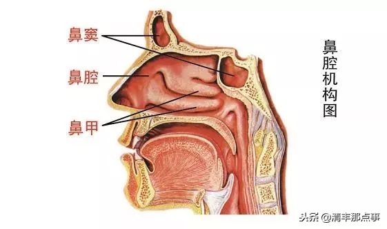 这是一个很寂寞的夜下着伤心的雨,这是一段经典的旋律完整版