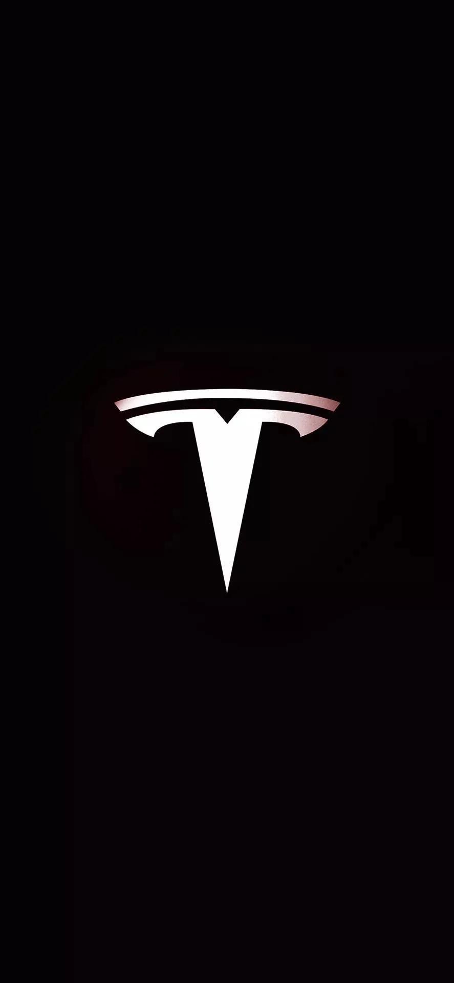 壁纸品牌十大排名图片,包子铺品牌