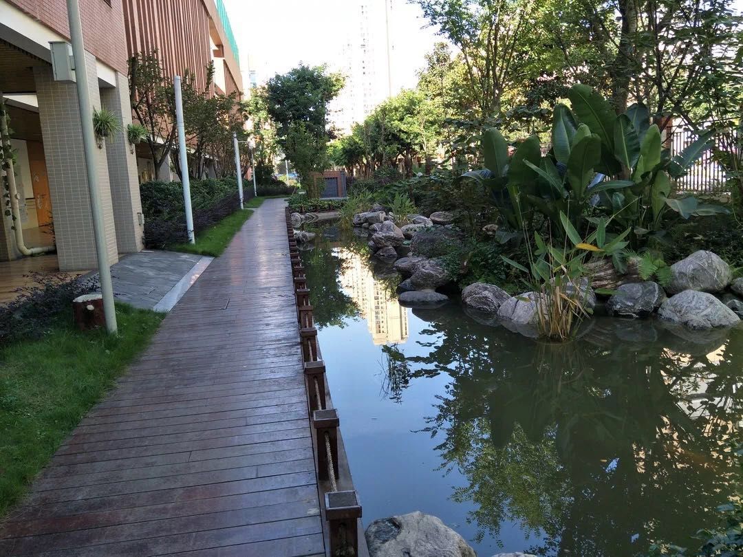 锦一附小和泡小天府哪个好,成都锦一附小咋样