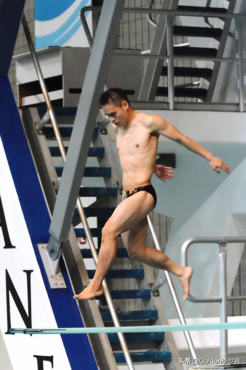 跳水冠军入籍澳大利亚,哪个跳水冠军入籍澳大利亚