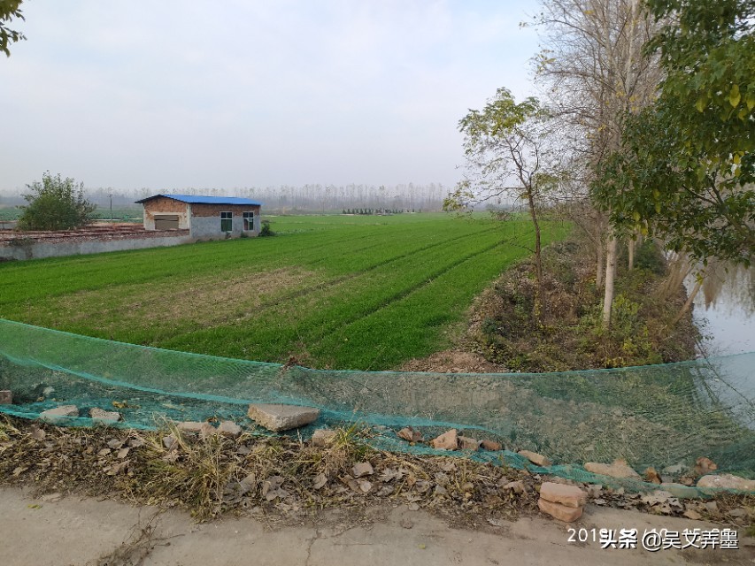 南齐诗人谢眺读音,南北朝诗人谢朓读音