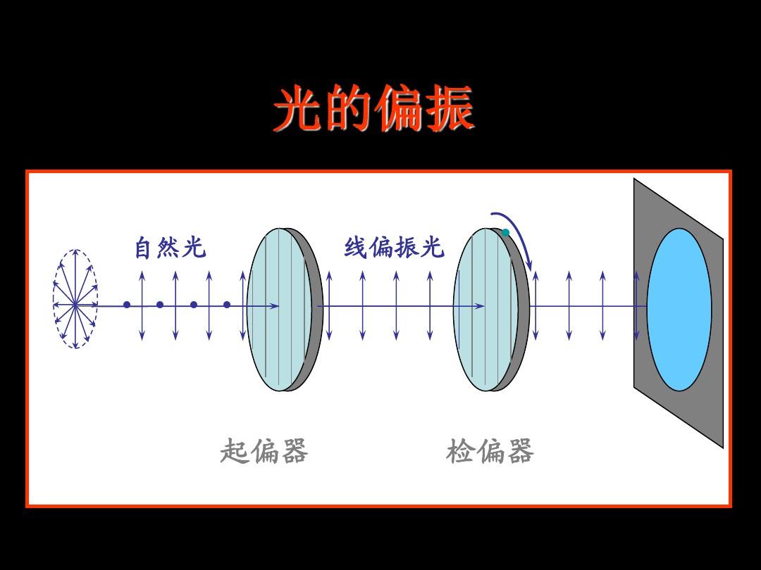 罕见的25面额纸币，17世纪的科学家出现在风车王国的钞票上