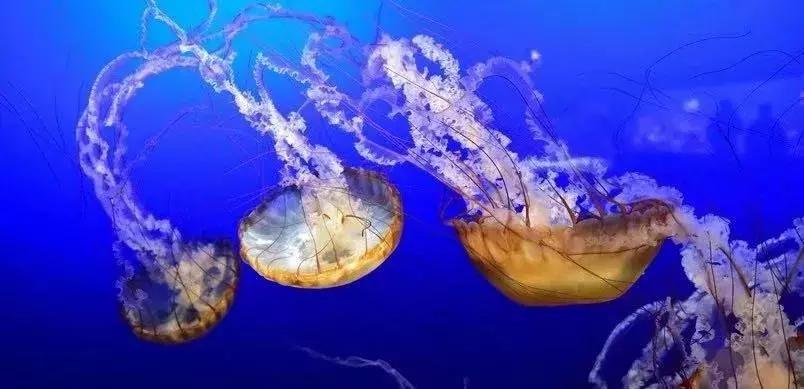 全场好货价格实惠,全场低价好物买一送一