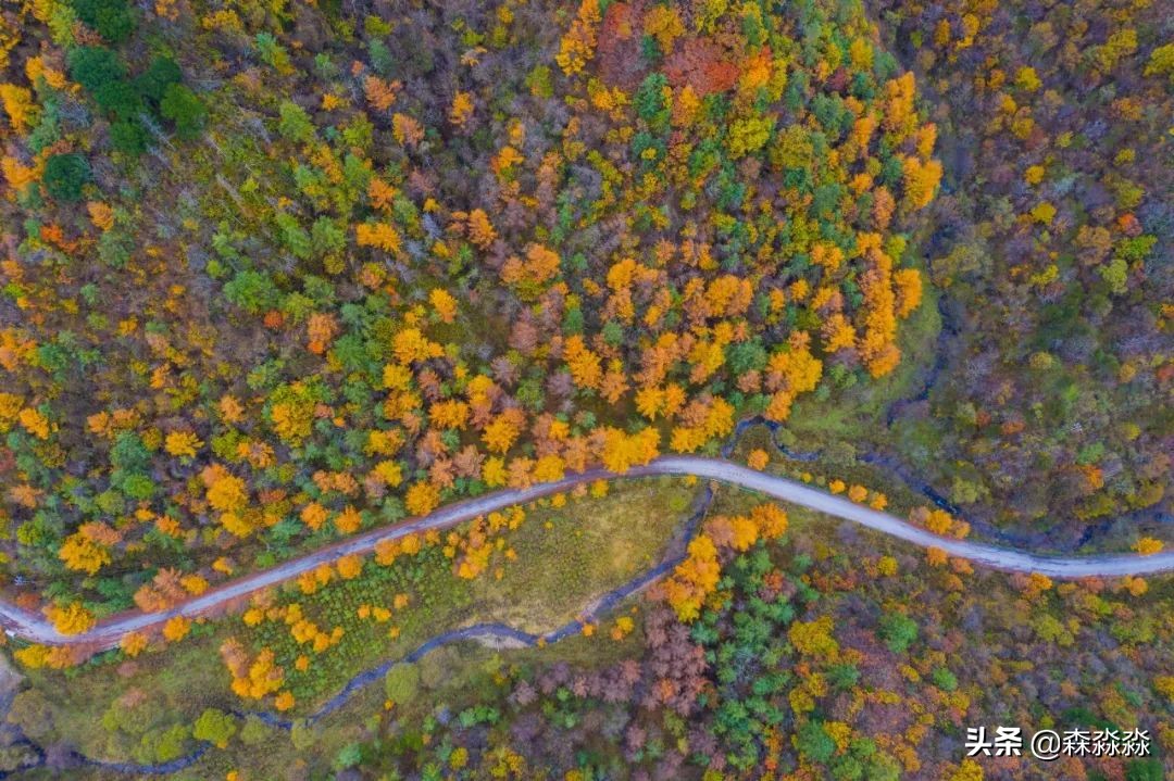 秦岭赏秋怎么玩才好玩呢,大秦岭山旅游攻略