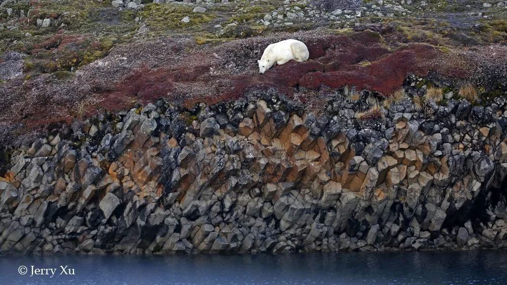 格陵兰的东海岸居然那么绚丽多彩,难怪特朗普想要买下来