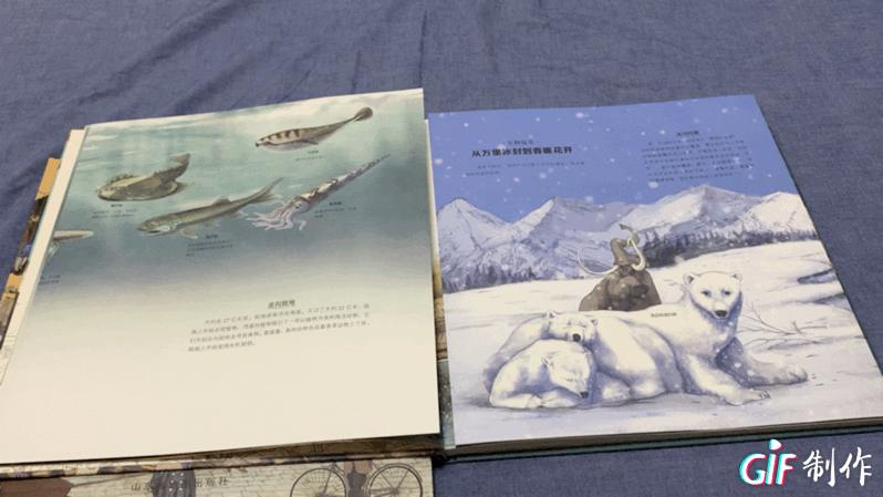 为什么学霸文理科都好,为啥理科学霸都是男生