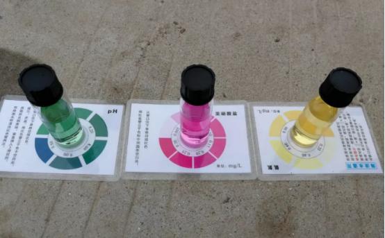 这个指标超标常见，水产养殖危害严重，但多数养殖户不会正确处理