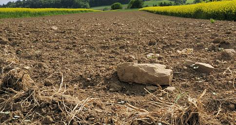 自然资源局整治典型案例,自然资源部违法案件查处工作