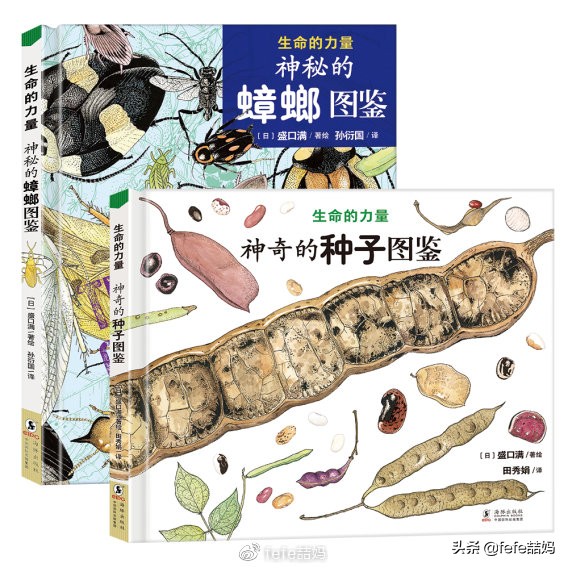 为母则刚为了孩子,为母则刚为宝宝付出了哪些