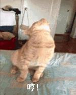 像你这么换粮，不拉稀才怪