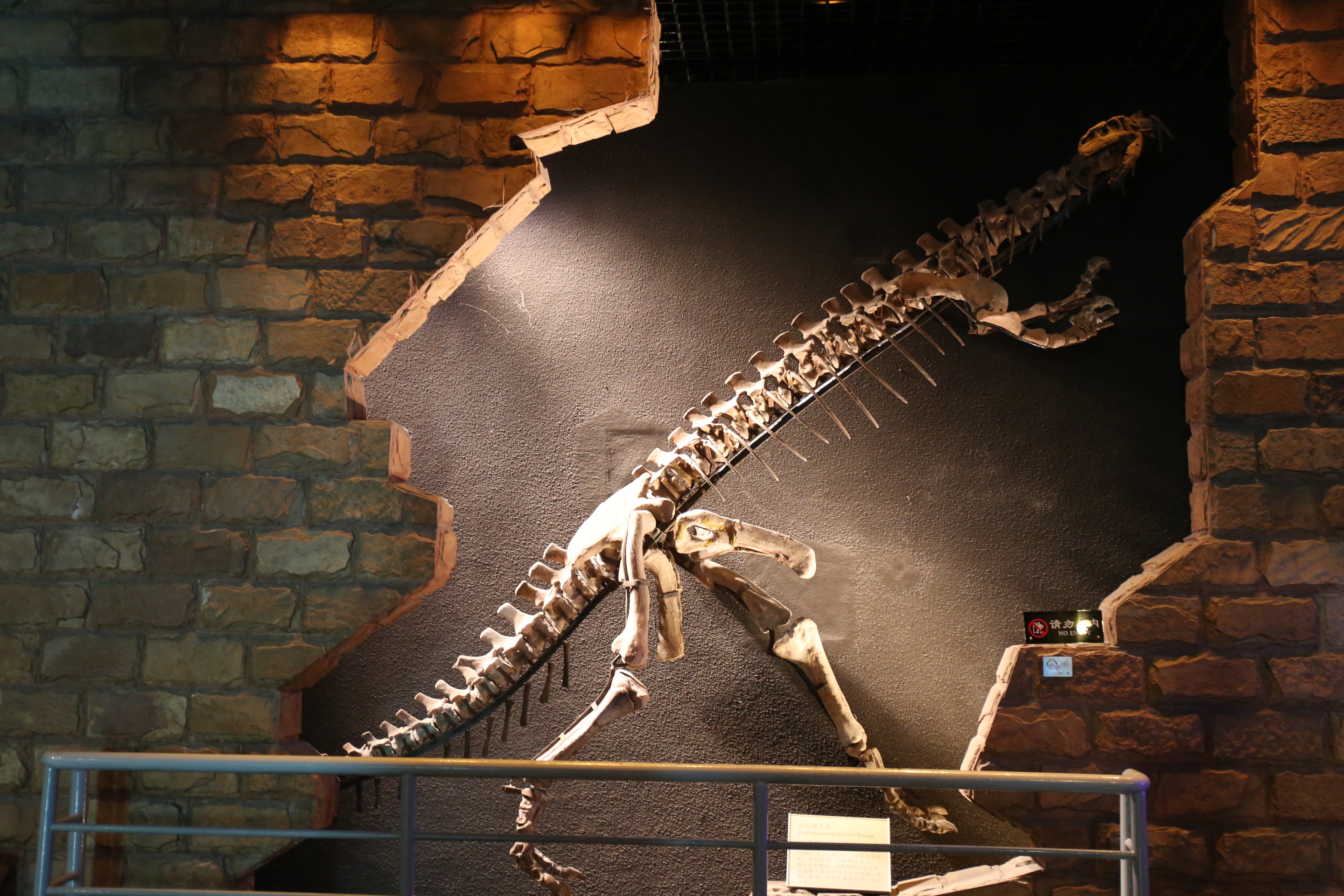 常州恐龙园亲子酒店,常州最豪华的酒店