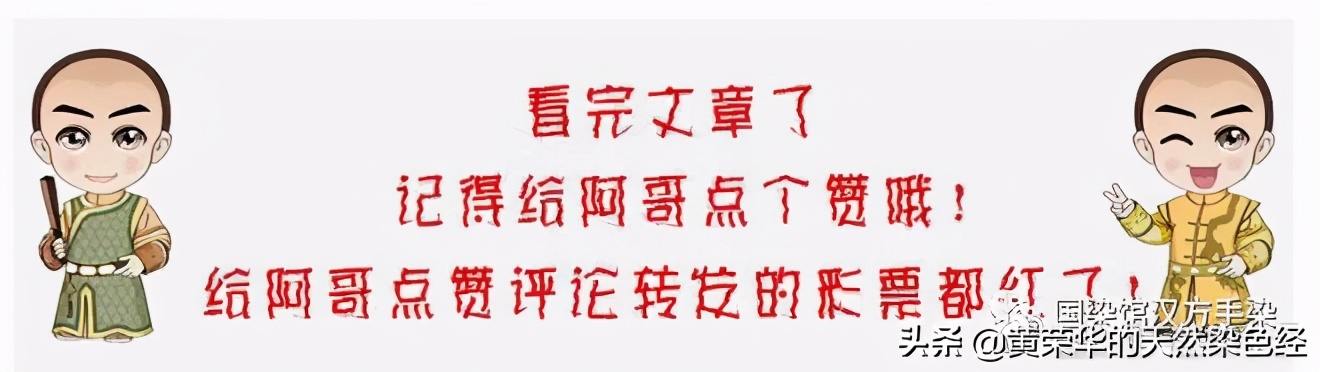 植物染色染黑步骤,植物染色过程