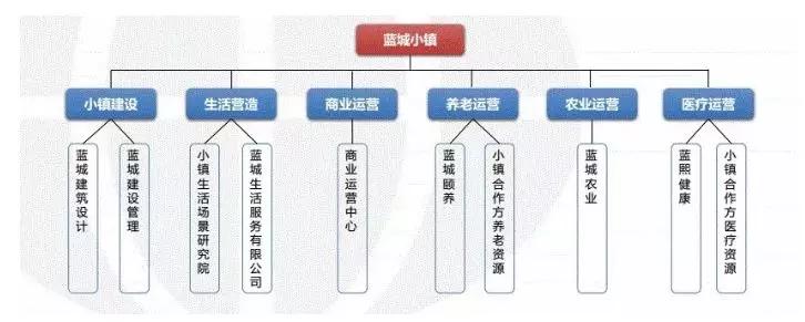 与康养、教育巨头合作,深剖蓝城集团的产业方向和路径