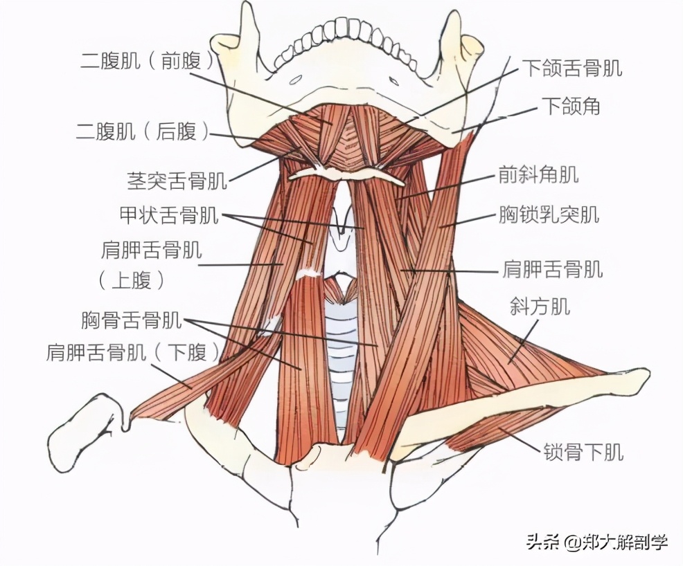 推拿颈椎手法,颈椎手法治疗立竿见影