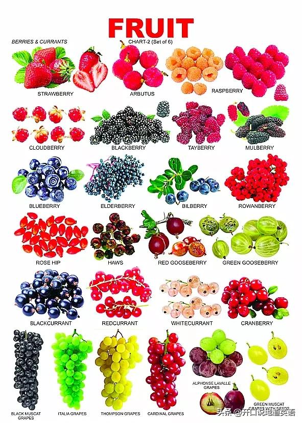 水果英文单词儿童1-2岁,英文水果单词学习0-3岁