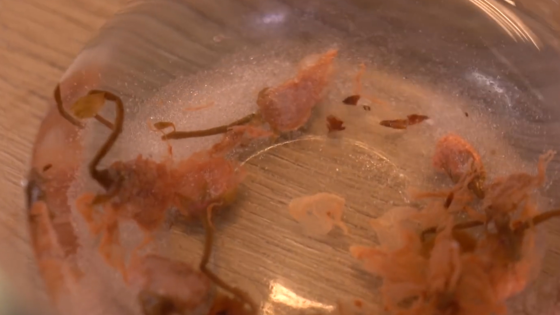 来自日本的精致轻饮,治愈系甜品推荐不止颜值高还好吃