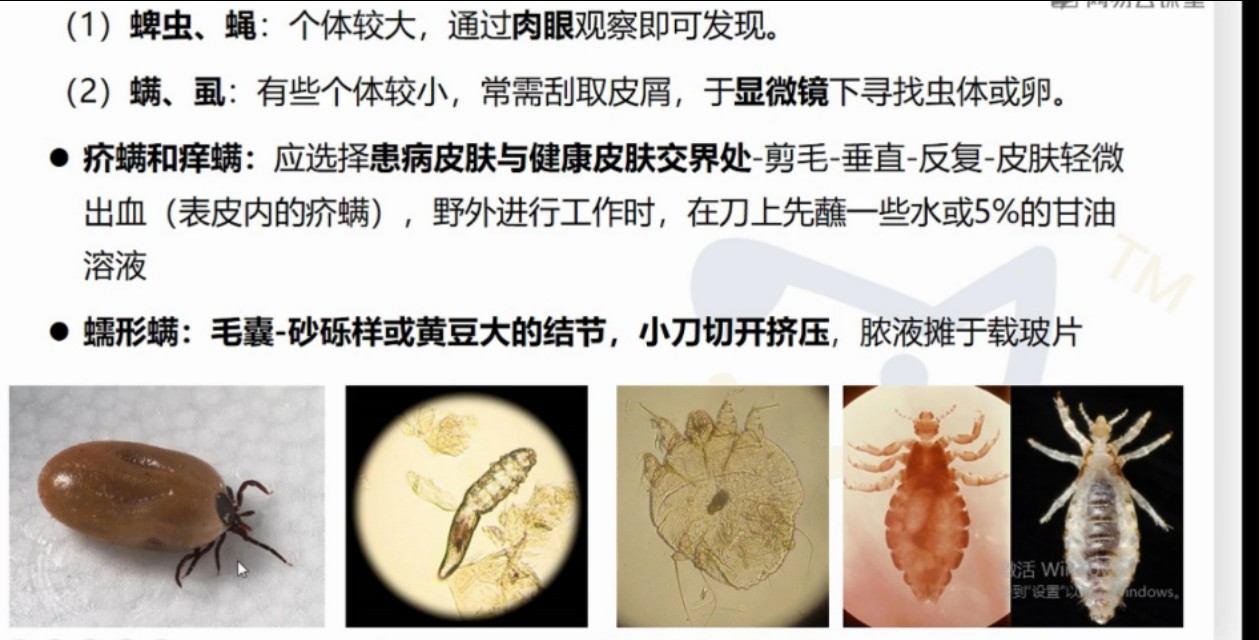 运用综合技术防控畜禽寄生虫病,动物寄生虫病防治技术教材