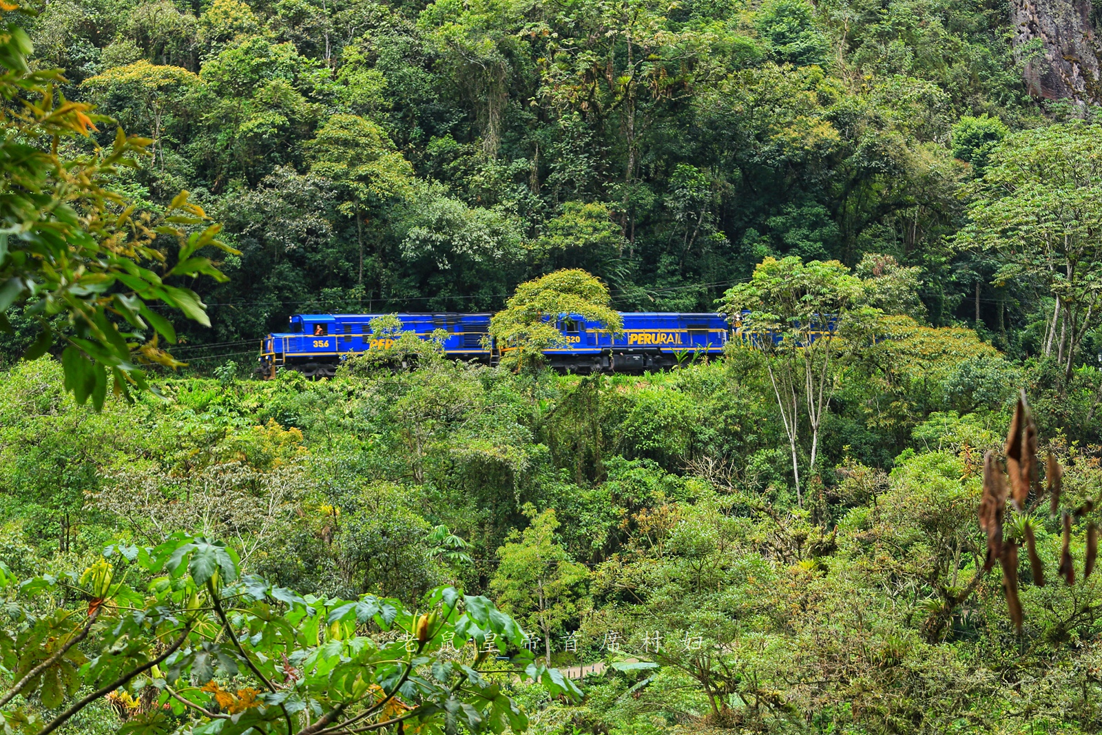 世界奇迹马丘比丘，百公里火车票超200，各国游客却说：不贵