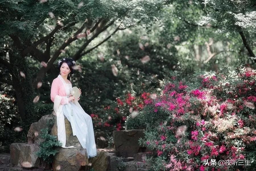 梦里花落知多少夜听,只看梦里花落知多少