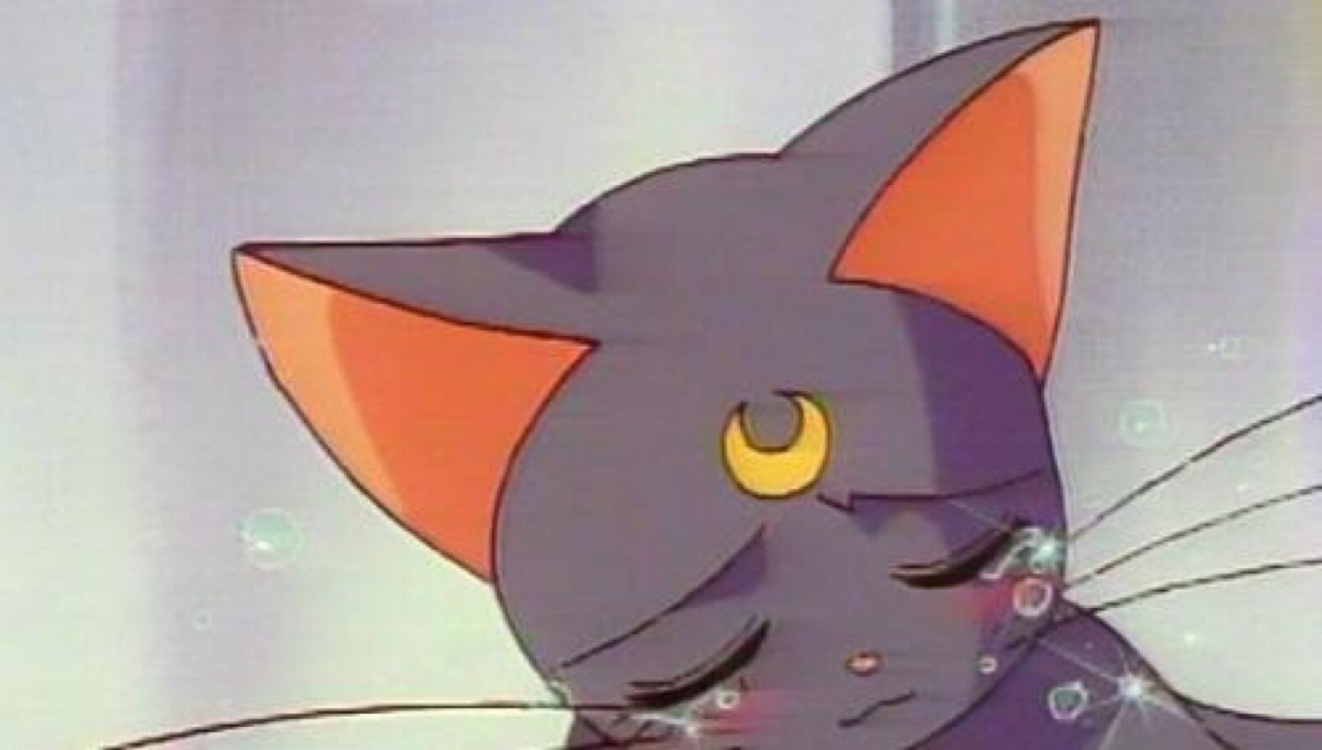 十大名猫动漫,动漫排行榜前十名京剧猫