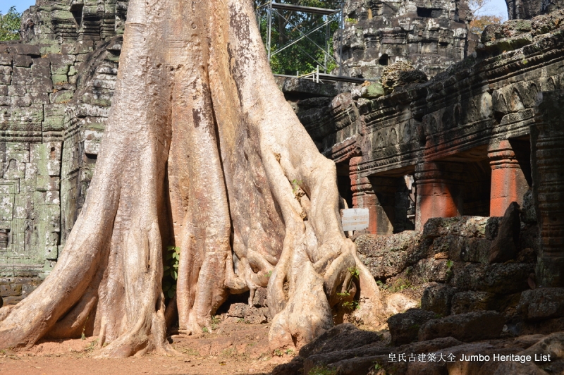 第157回：庙宇神殿湮没丛林，你中有我我中有你