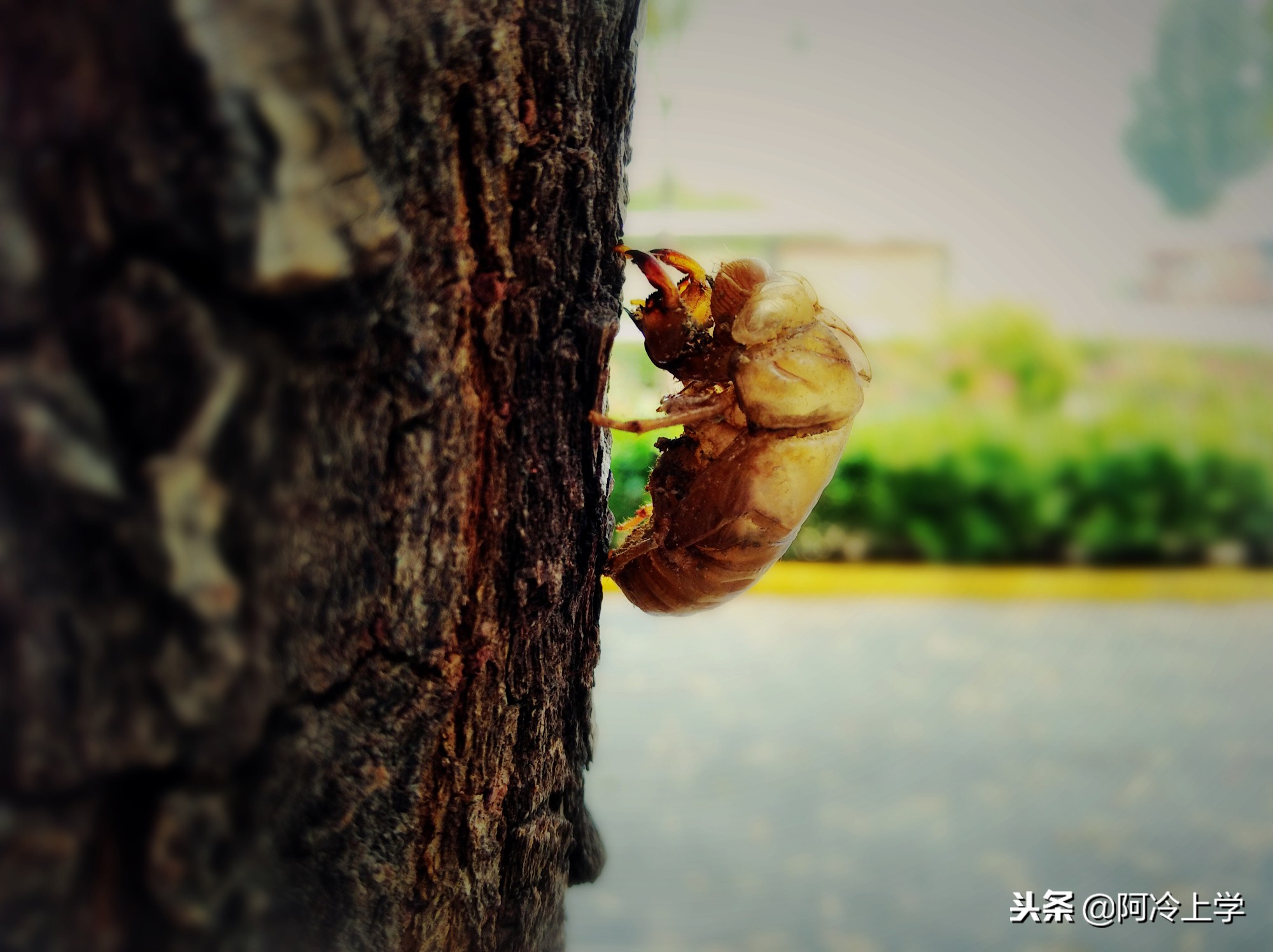 怎么写童话才能写好,怎么写童话故事有意义的