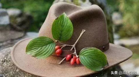 用英文介绍重阳节及意义,重阳节英语介绍