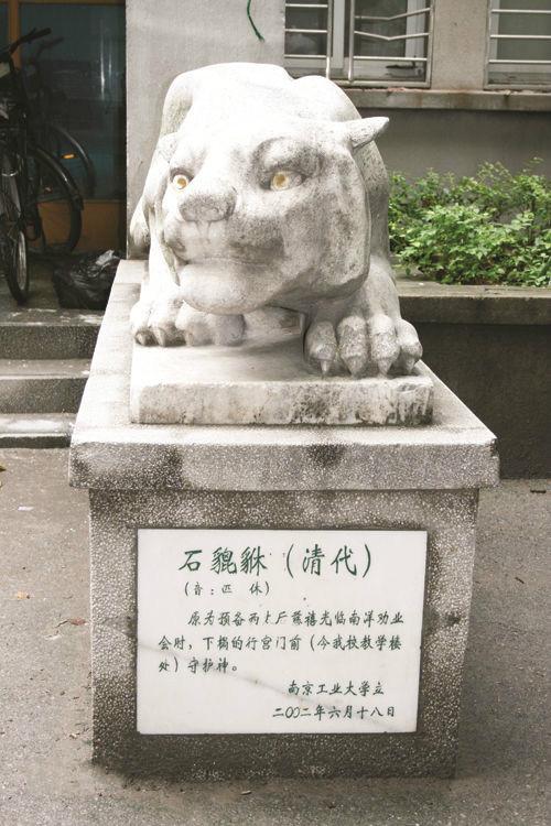 泰国一种动物，只吃不拉？其实，它的便便是美容上品……