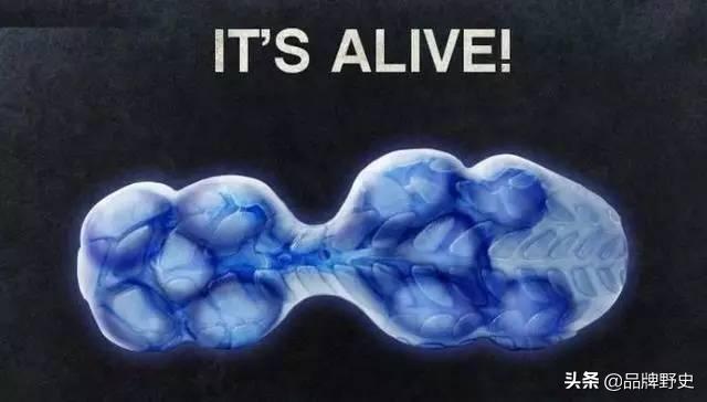 reebok经典球鞋,reebok对比耐克