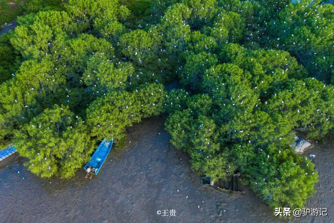 关于汕尾市的一些冷知识,汕尾市冷知识