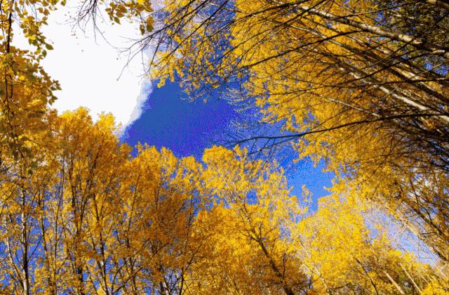 空气加湿器家用可爱,可爱的加湿器