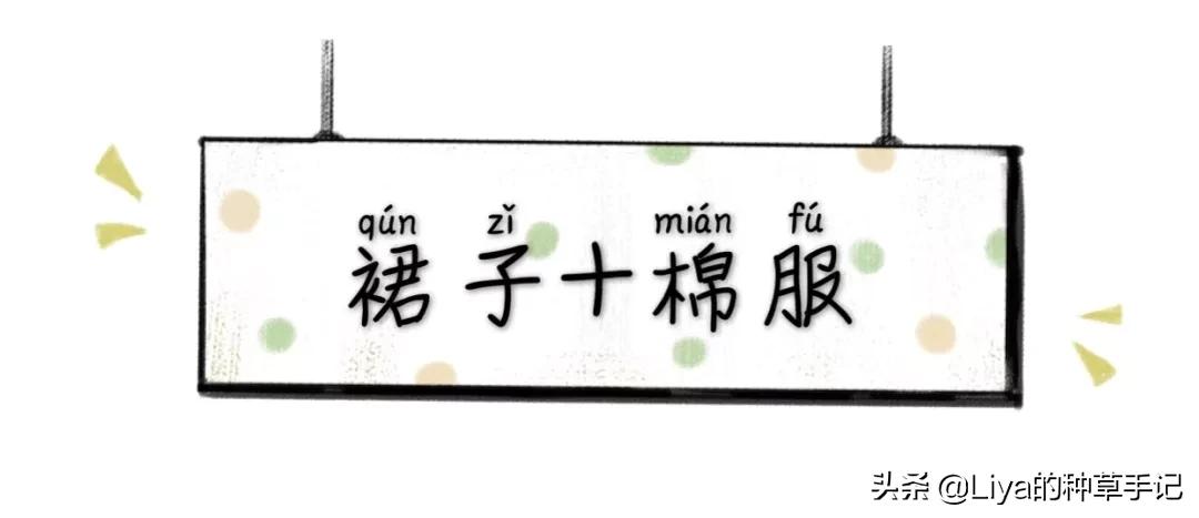 半裙+外套,连衣裙+外套=今春王炸组合