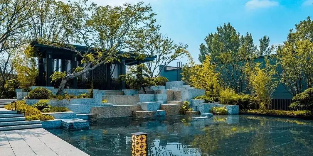 盘点郑州这些C位出道的热盘