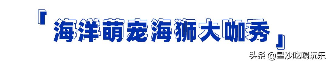 中茂城惊现海狮、海的女儿！带你开启「海洋萌宠奇遇记」