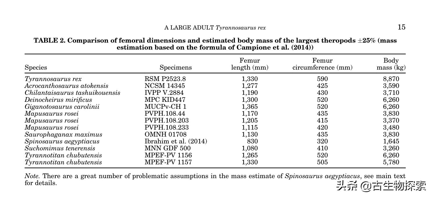 古生物学家恐龙化石霸王龙,中国发现霸王龙化石