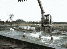 趣图丨我在路上走的好好的为什么会突然“翻车”？