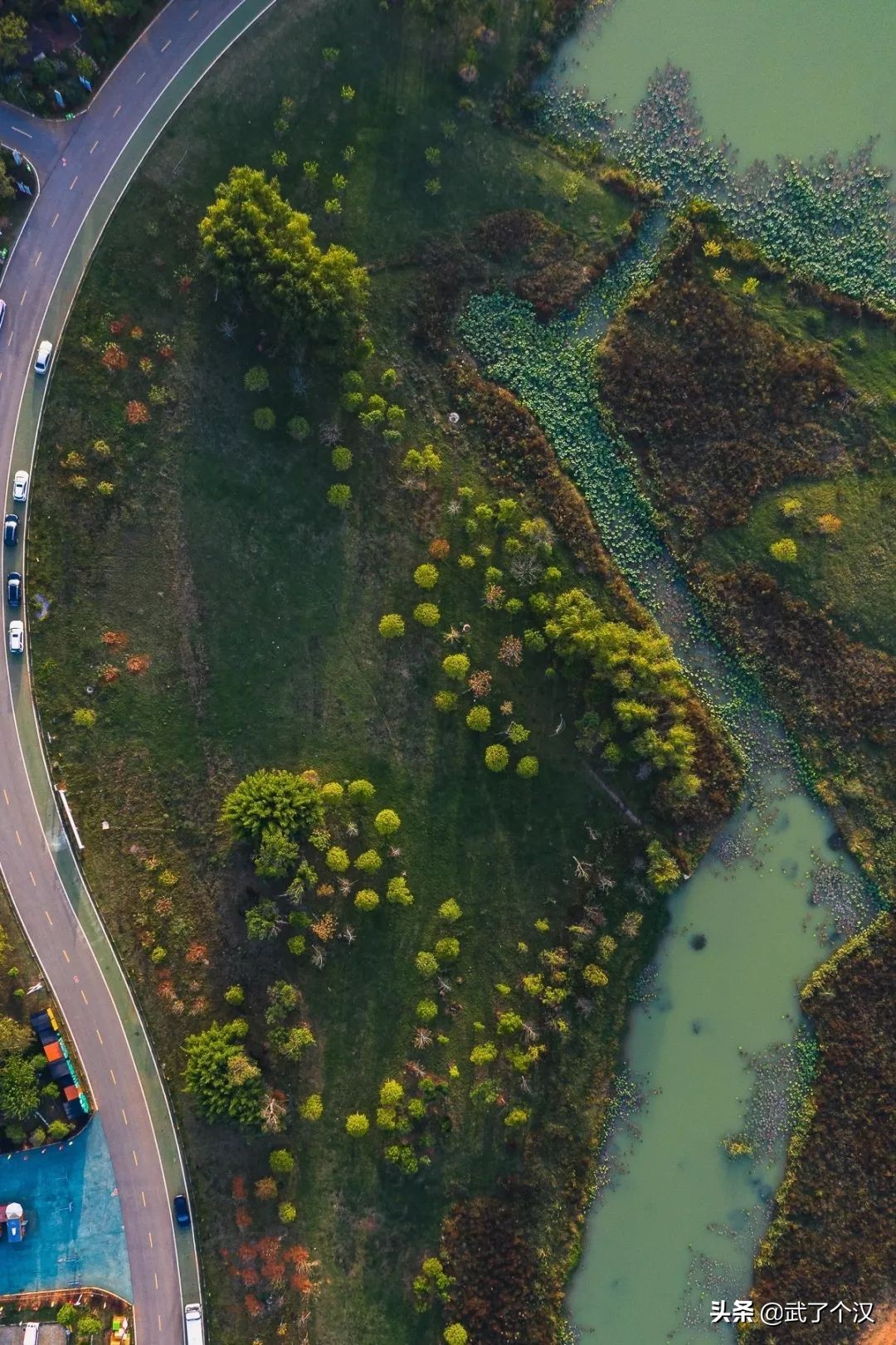武昌向南择墅而居,这或许是你离理想生活最近的一次