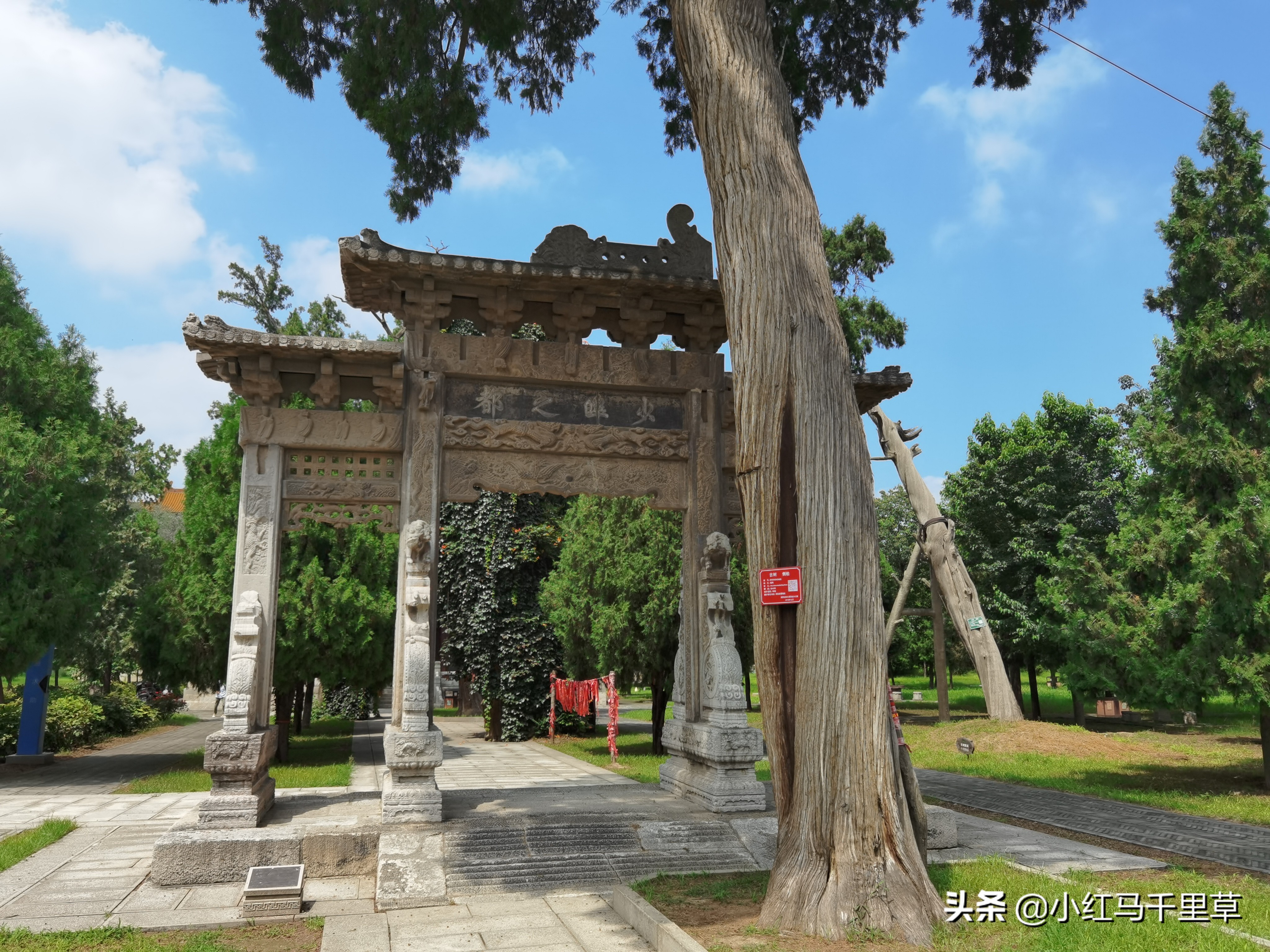 天下华山第一险西岳第一庙,华山西岳庙旅游攻略