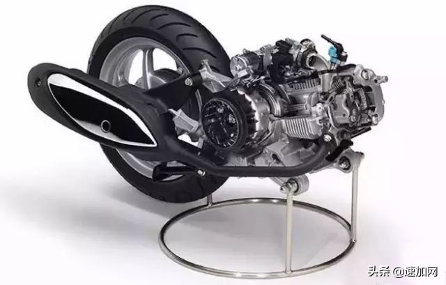 公司不按套路出牌,全网最不按套路出牌