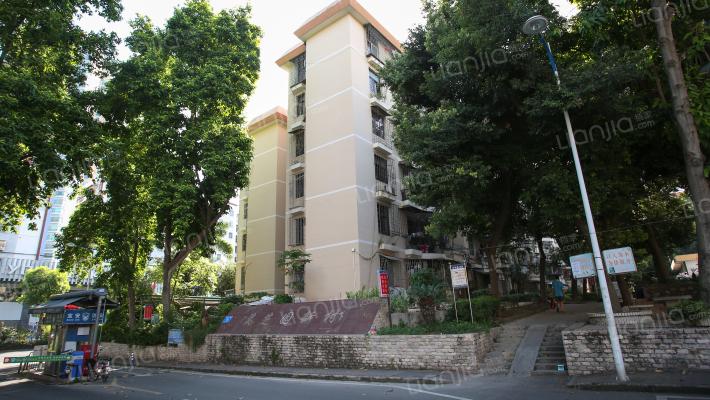 深圳宝安中学难进吗,深圳宝安实验学校学区房