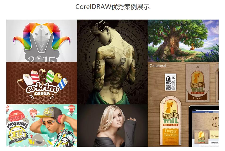coreldraw的图形编辑工具,coreldraw怎么取消组合图形
