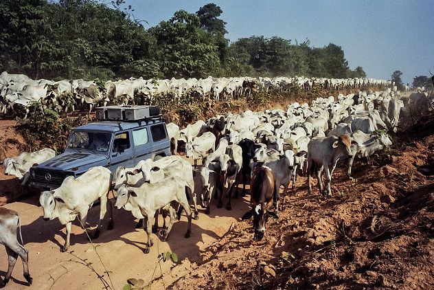 54岁裸辞，花45W流浪地球26年，炸上BBC，这...