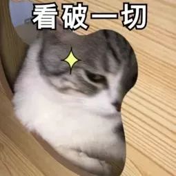 广东省徒步的好地方,广东哪里地方适合周末自驾游