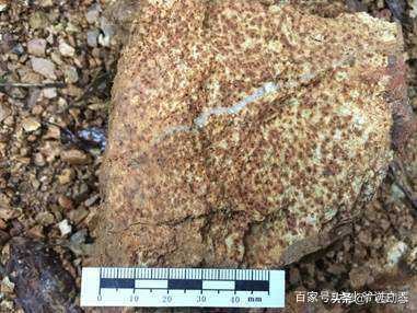 广西金秀最大镇,广西金秀有哪些乡镇