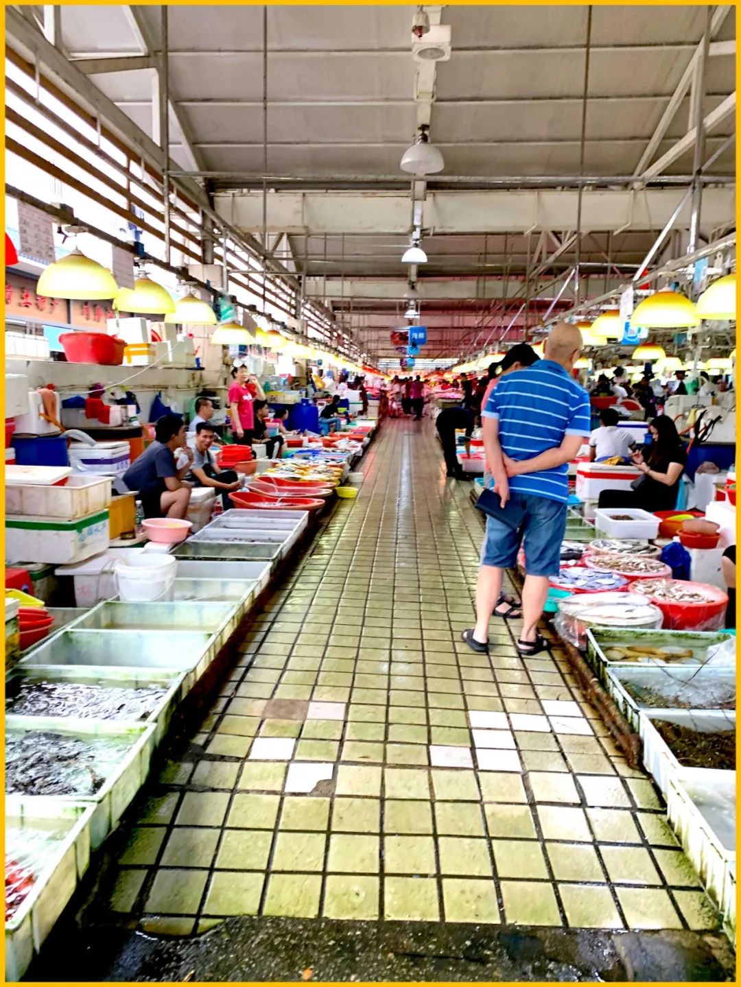 去蛇口玩吗,深圳蛇口值得去吗