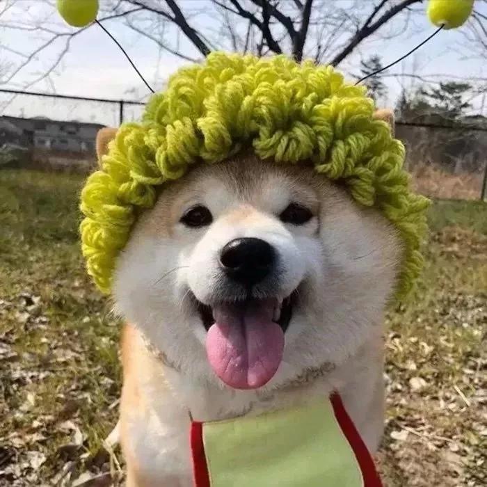 情人节文案甜甜的恋爱,情人节送女朋友甜甜的句子