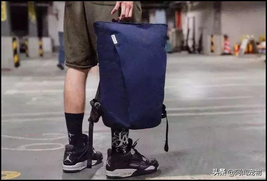 养宠物的哪个瞬间让你最崩溃,养宠物的24个扎心日常