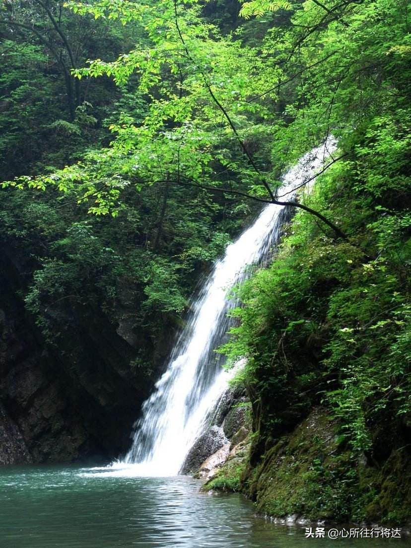 金丝大峡谷旅游有哪些推荐,金丝大峡谷景区攻略