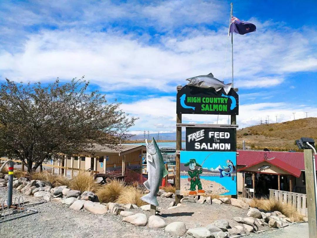 新西兰南太平洋明珠,新西兰太平洋的明珠