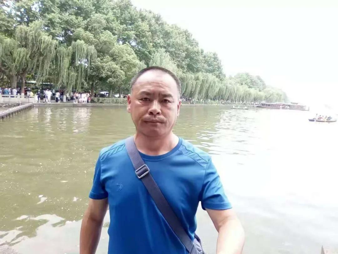 白杨树作文高中散文,今日作家